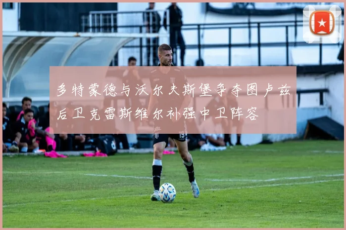 多特蒙德与沃尔夫斯堡争夺图卢兹后卫克雷斯维尔补强中卫阵容